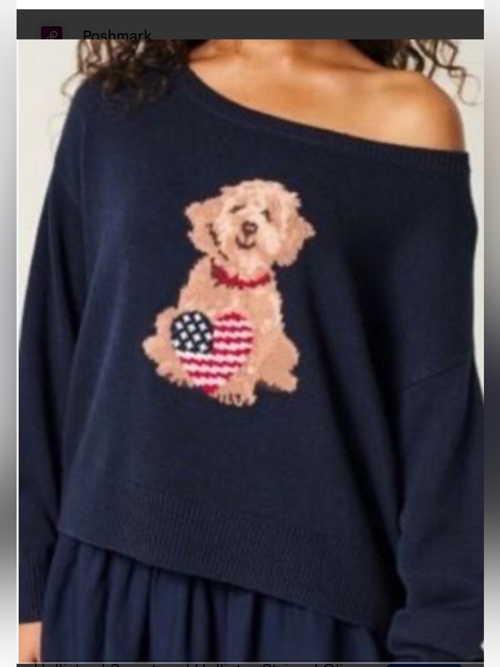 Hollister Easy Off-the-shoulder Dog Graphic Sweater features a fluffy dog Medium